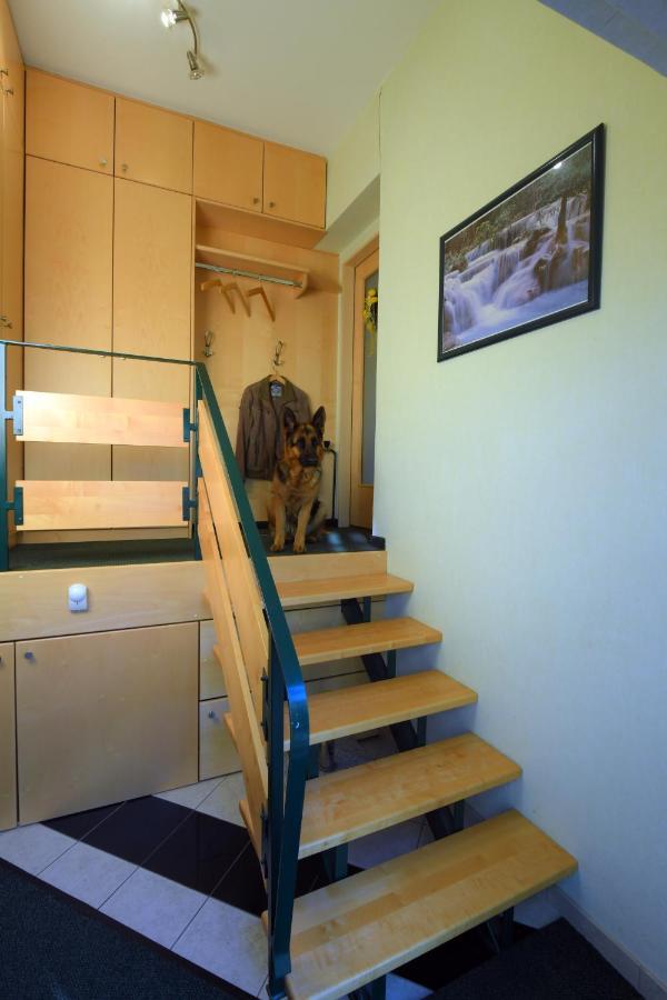 Ferienappartement Regina Schrems  Exterior photo